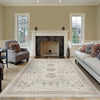 Light neutral patterned rug with intricate medallion design in a modern living room setting.