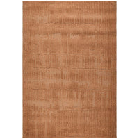 Rust textured rug on a white background