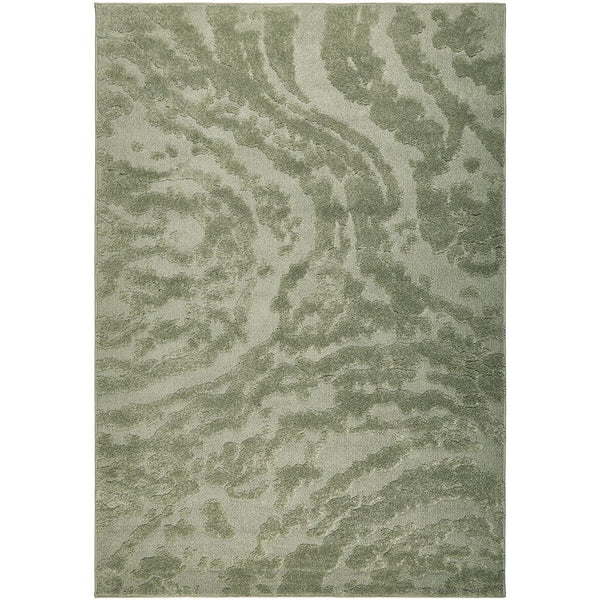 Green patterned rug on a white background