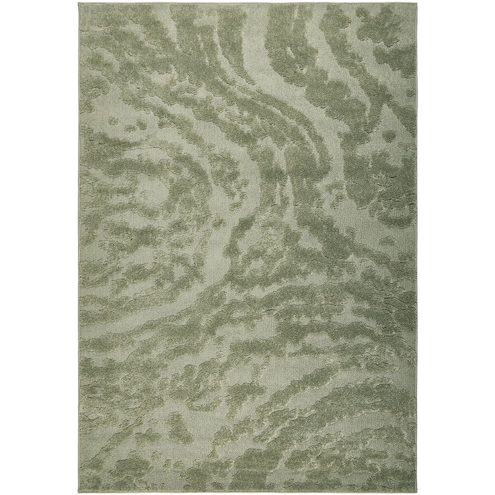 Green patterned rug on a white background