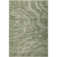 Green patterned rug on a white background