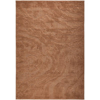 Rust coloured textured area rug on a white background