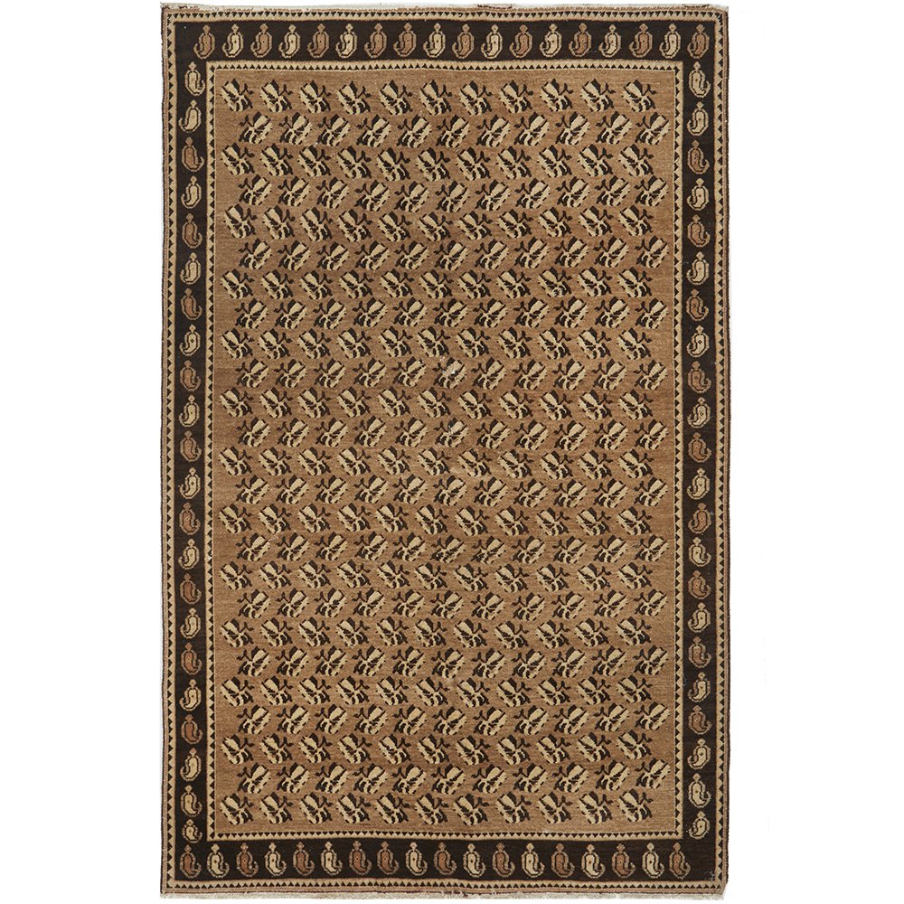 Persian Beige Brown Multi Colour Sirjan Hand Knotted Wool Rug - 1