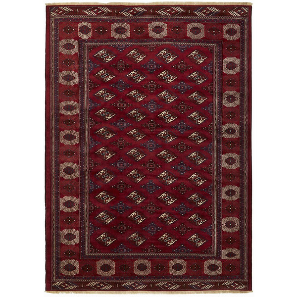 Persian Red Multi Colour Patterned Border Hand Knotted Wool Rug - 1