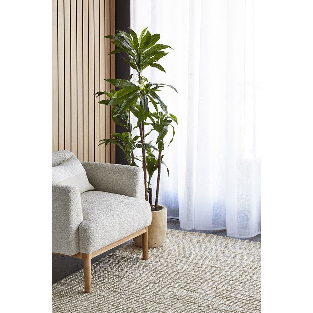 Gray armchair with a plant in a room with striped walls and white curtains.