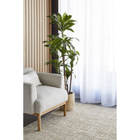 Gray armchair with a plant in a room with striped walls and white curtains.