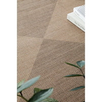 Textured brown rug with a plant and books on top