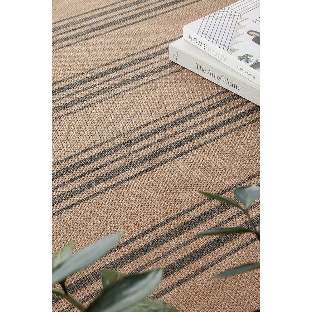 Beige and brown striped rug with a books and a plant