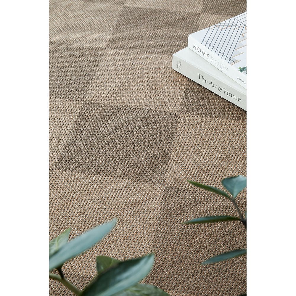 Brown geometric-patterned rug with books and a plant.