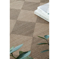 Brown geometric-patterned rug with books and a plant.