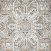 Multi-colored transitional rug with intricate geometric and floral patterns in earth tones, soft texture.