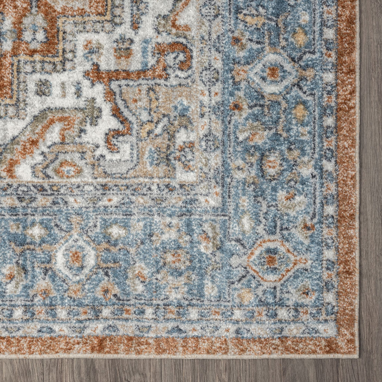 Blue multi-colored transitional rug corner with intricate geometric and floral patterns, brown edge trim, machine-washable.