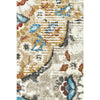 Robina 4254 Multi Colour Transitional Rug - Rugs Of Beauty - 8