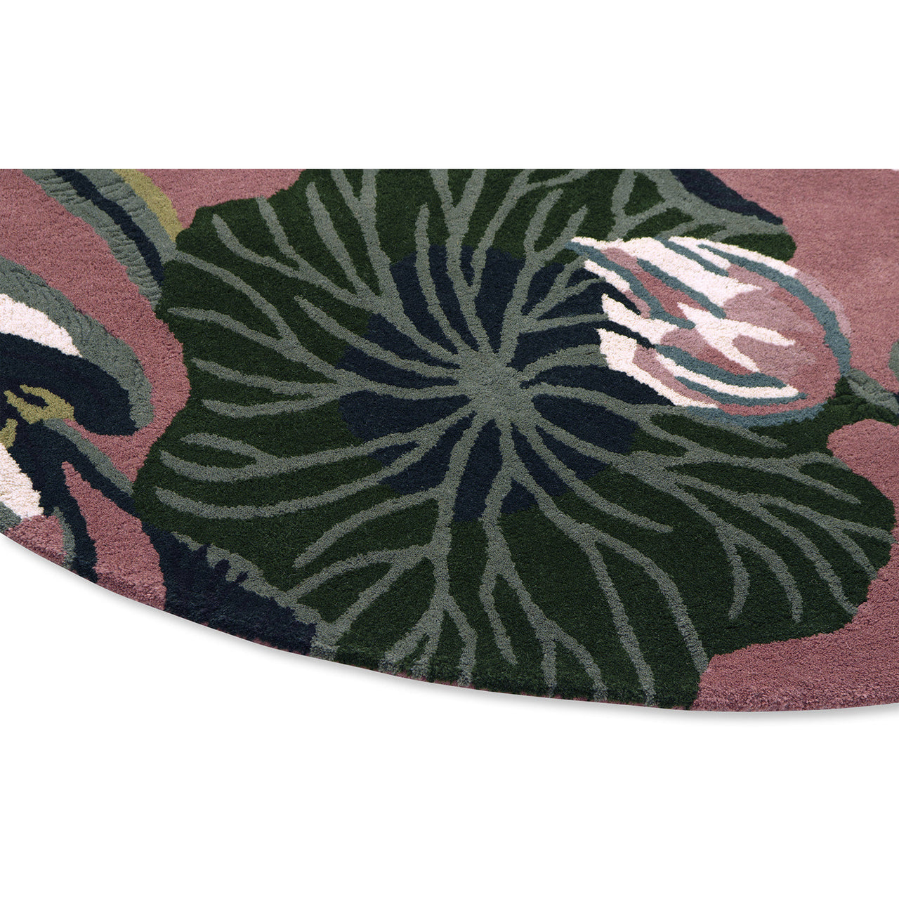 Wedgwood Waterlily Dusty Rose 038602 Designer Wool Round Rug - Rugs Of Beauty - 5