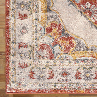 Narva 416 Multi Coloured Transitional Patterned Rug - Rugs Of Beauty - 6