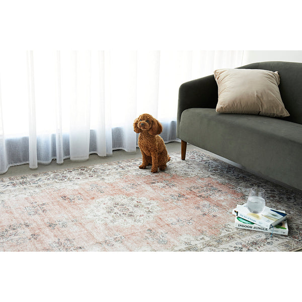 Audin 115 Peach Multi Coloured Bohemian Style Modern Rug - Rugs Of Beauty - 3