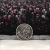 Barcelona Soft Shag Rug Black Purple Grey - Rugs Of Beauty - 5
