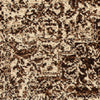 Kota 1425 Brown Beige Transitional Patterned Rug - Rugs Of Beauty - 6
