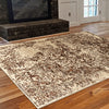 Kota 1425 Brown Beige Transitional Patterned Rug - Rugs Of Beauty - 2
