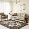 Kota 1426 Brown Beige Transitional Patterned Rug - Rugs Of Beauty - 2
